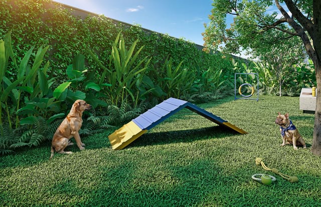 Pet place com circuito de agility do Erê Residencial, no Santo Cristo